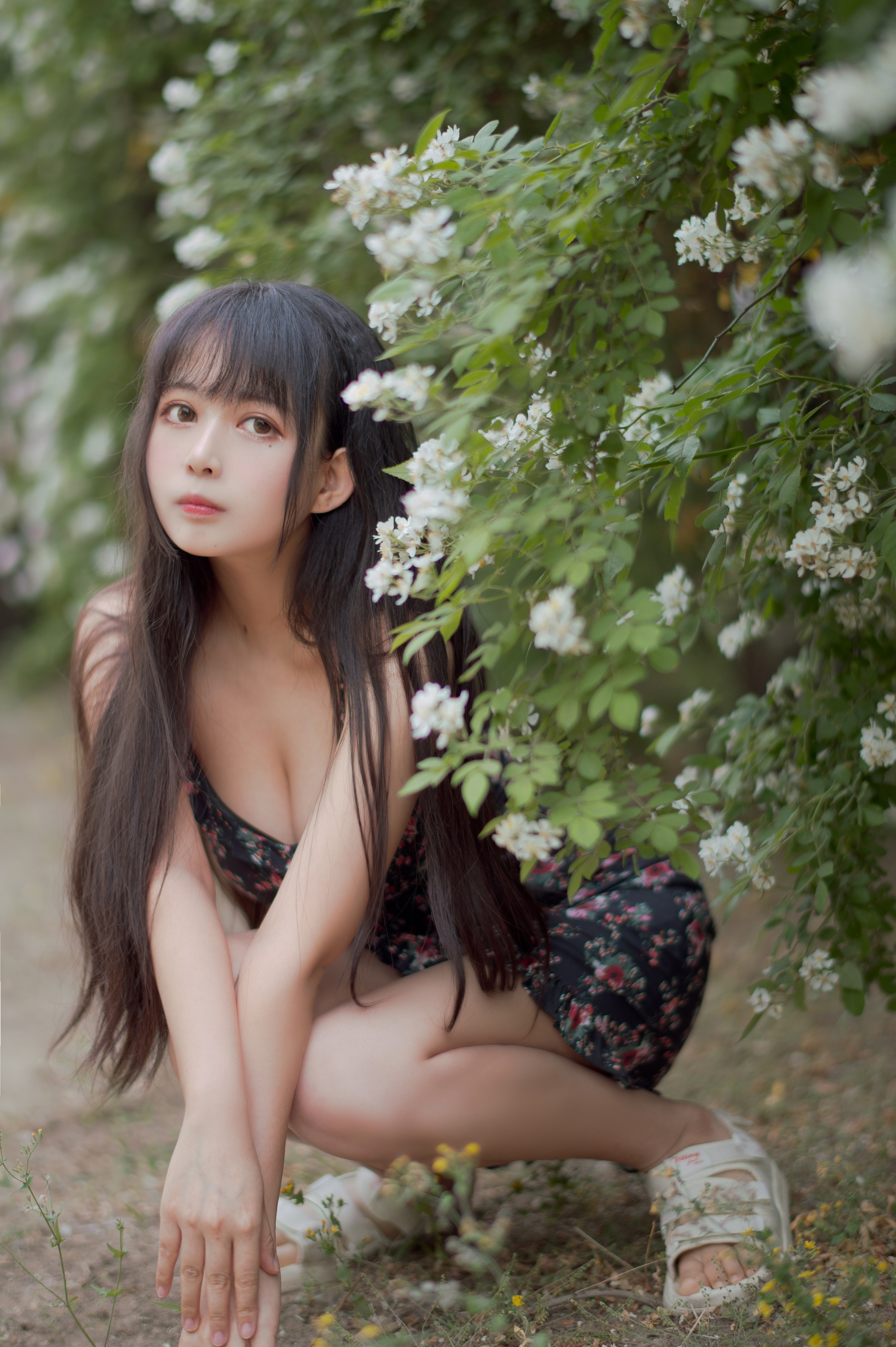 黑猫猫 - NO.021 蔷薇1 [22P]-XikXak